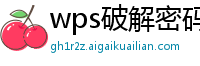 wps破解密码方法教程视频下载安装免费